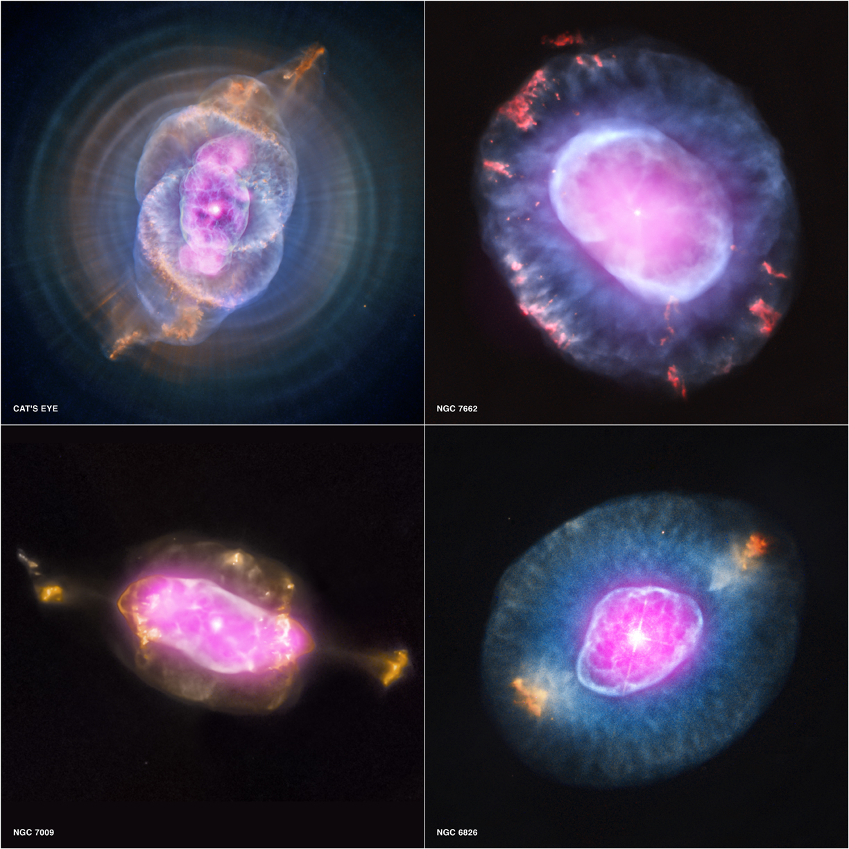 惑星状星雲 NGC 6543 (猫の目星雲), NGC 7662, NGC 7009, NGC 6826。(X線: NASA/CXC/RIT/J.Kastner et al.; 可視光: NASA/STScI)